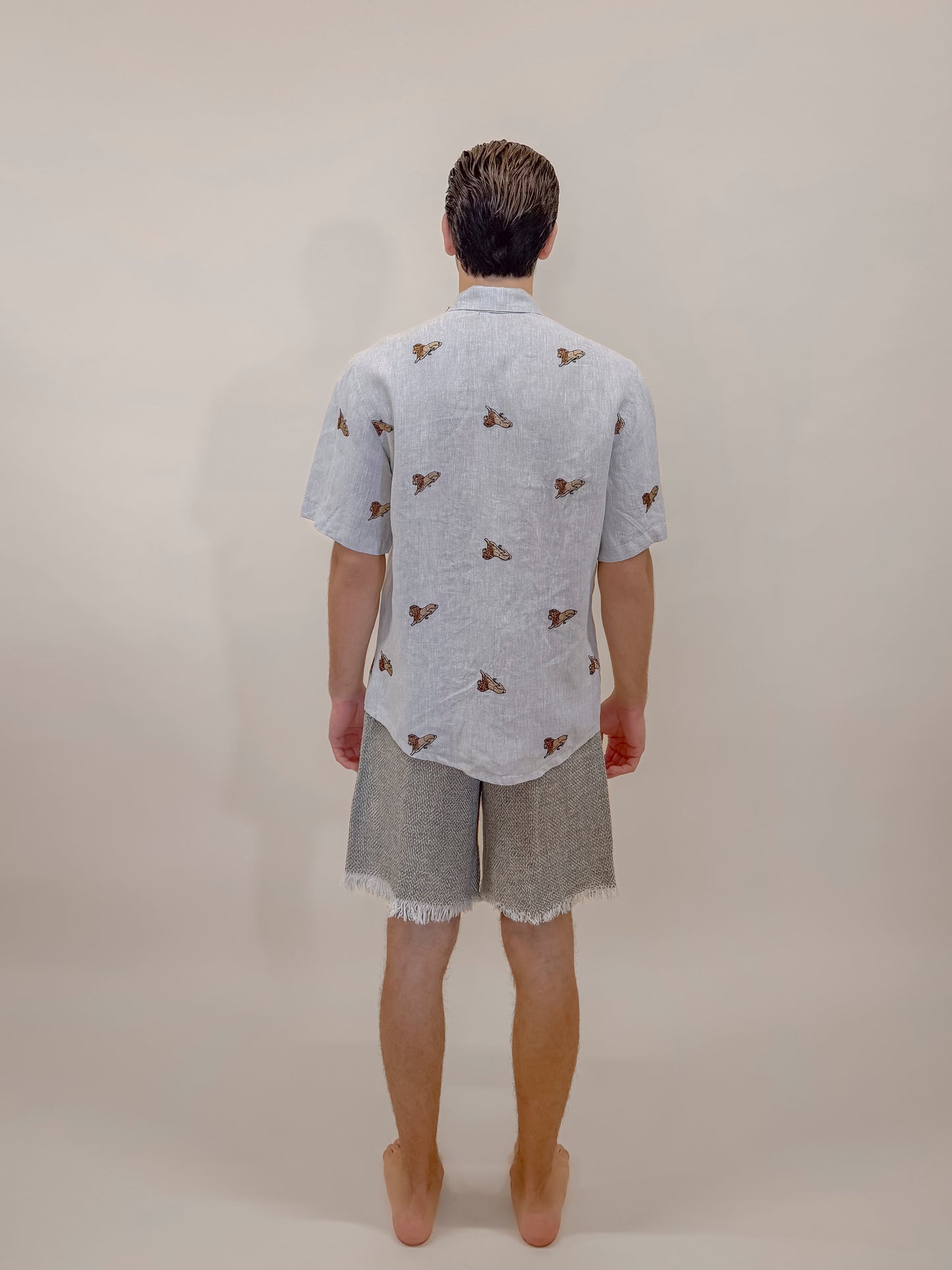 CAMICIA M/M FULL BUTTONS LION