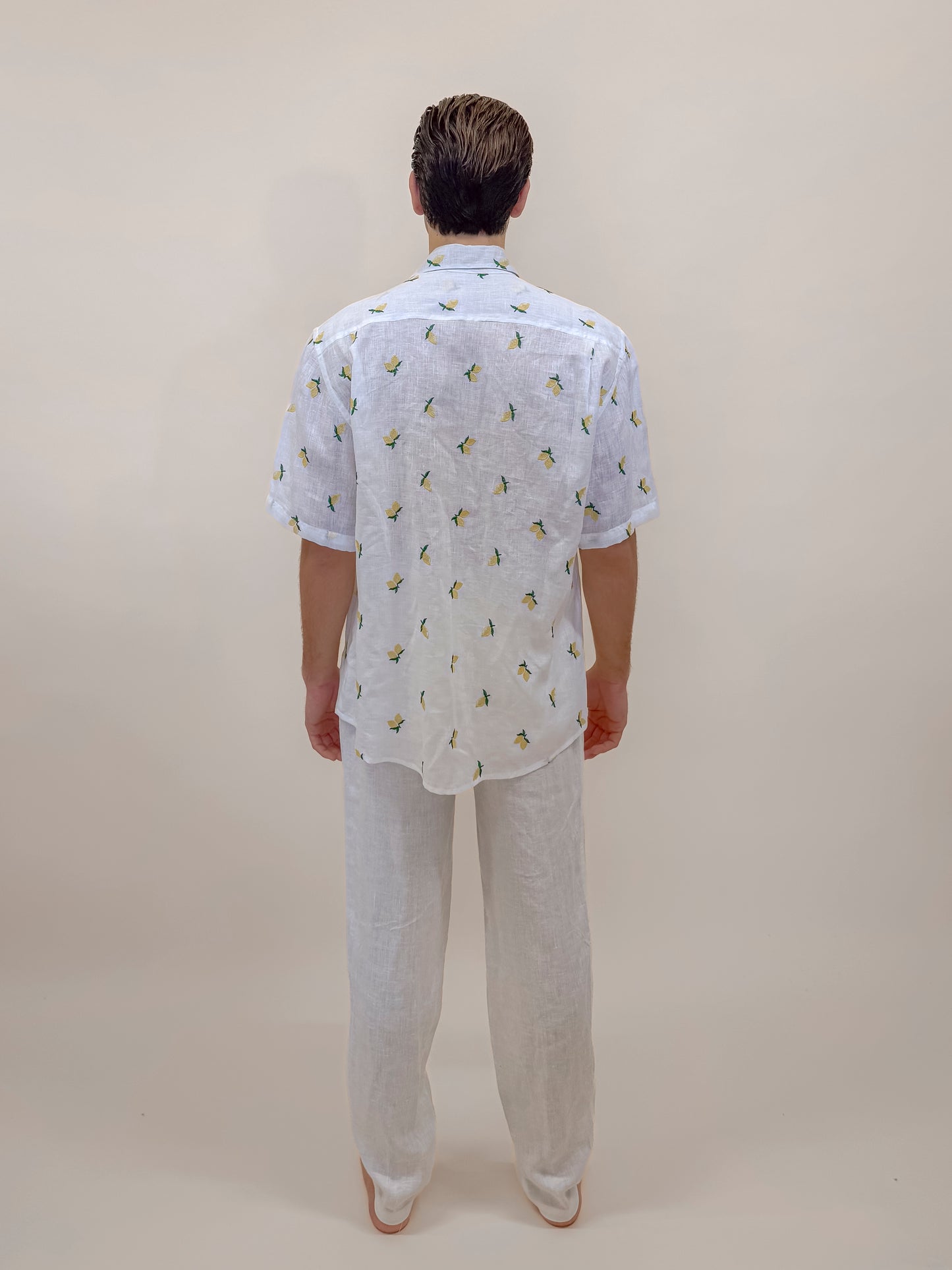 CAMICIA M/M LIMONI