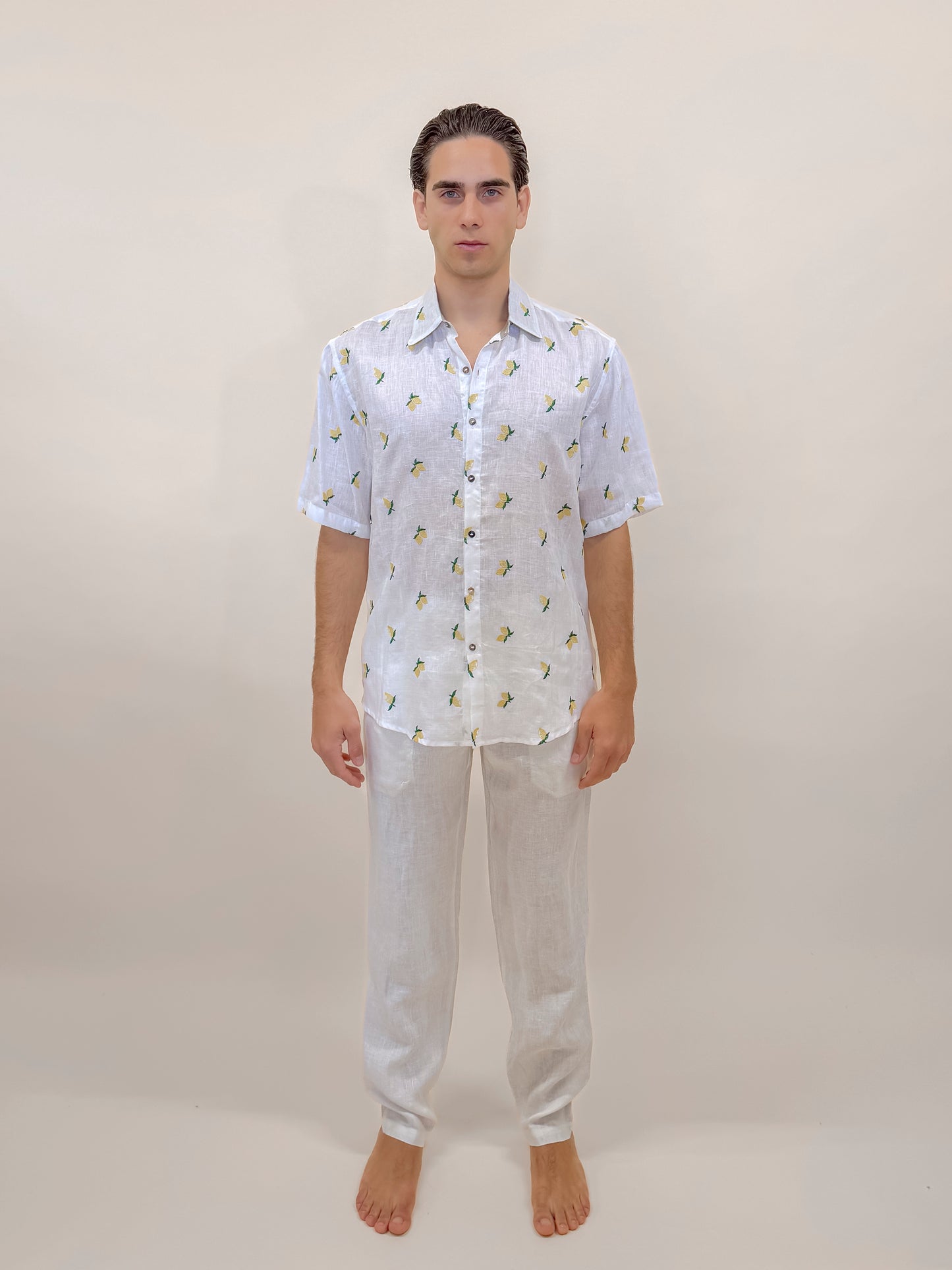 CAMICIA M/M LIMONI
