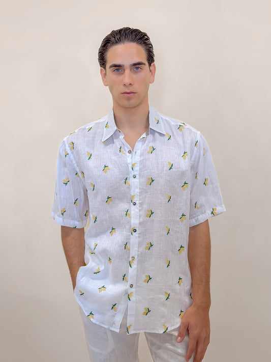 CAMICIA M/M LIMONI