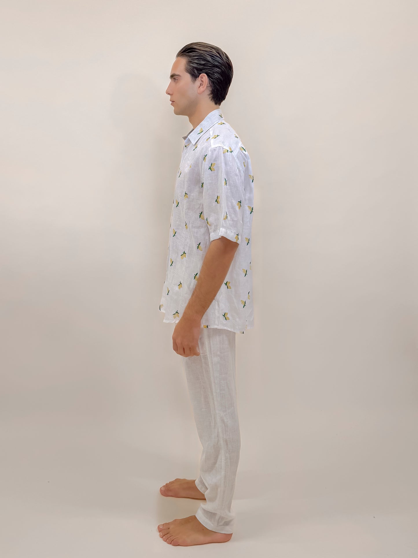 CAMICIA M/M LIMONI